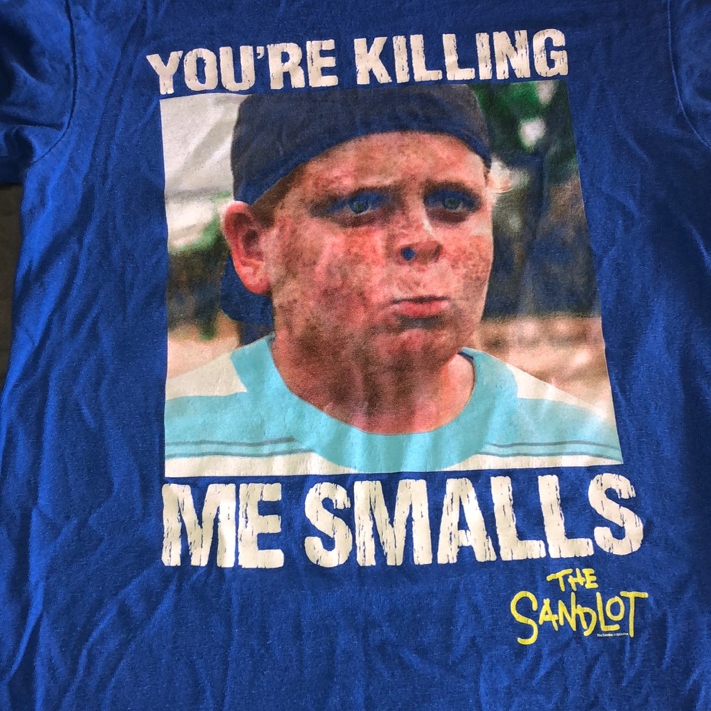 The sandlot t